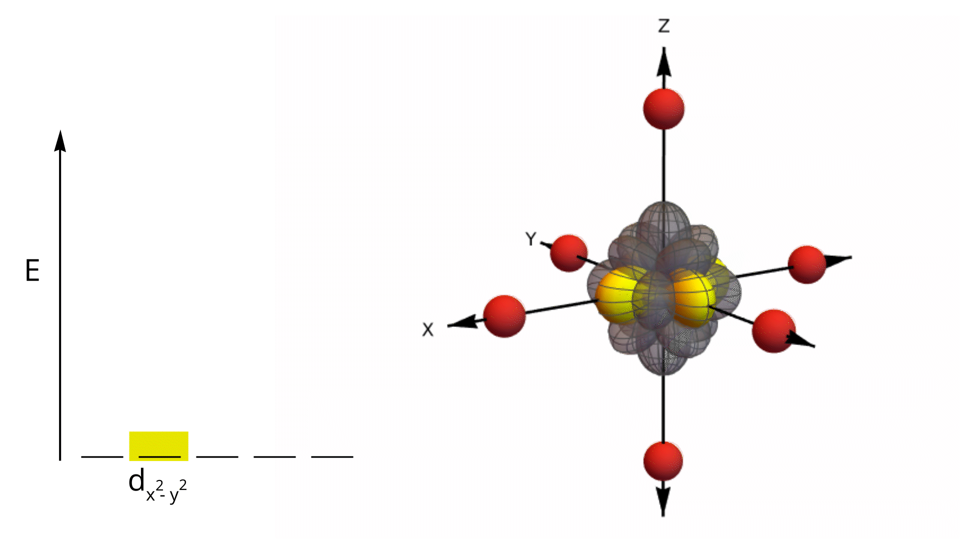 d x²−y² orbital animation in an octahedral ligand field showing orbital shape and ligand positions