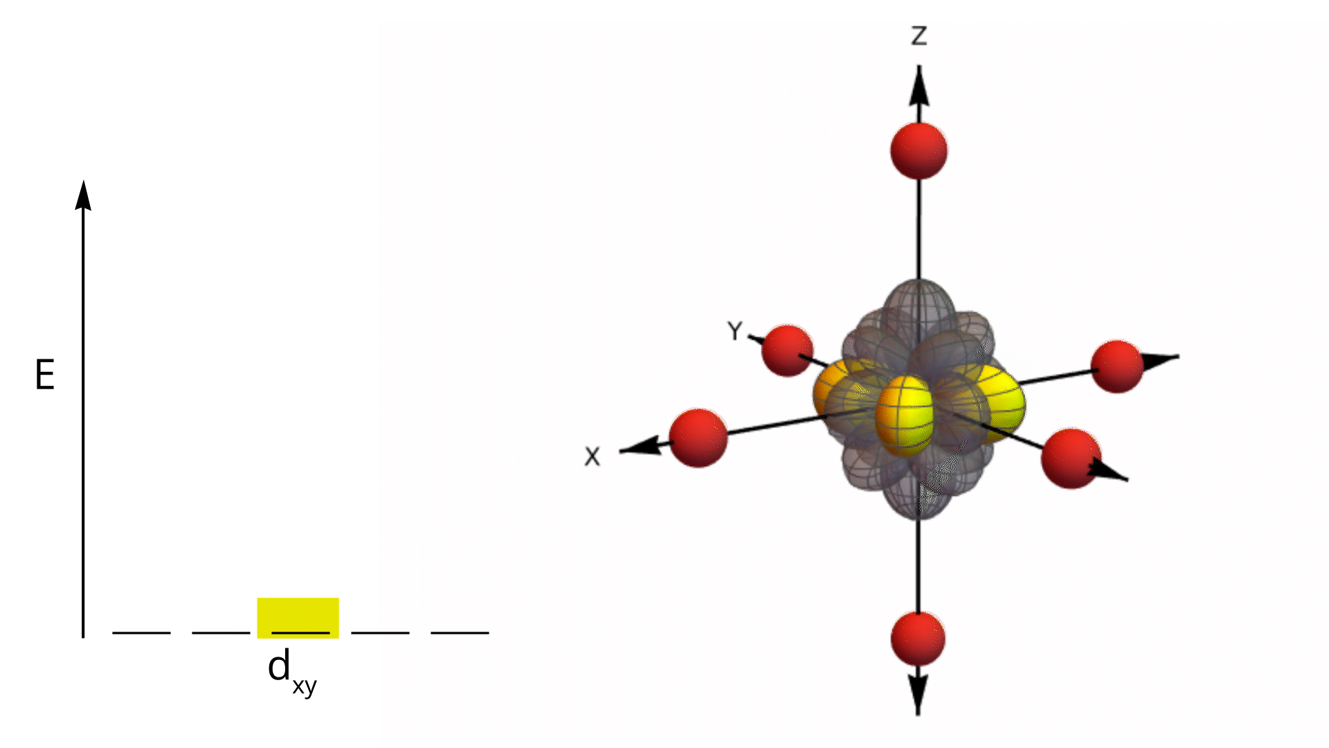 d xy orbital animation in an octahedral ligand field showing orbital shape and ligand positions