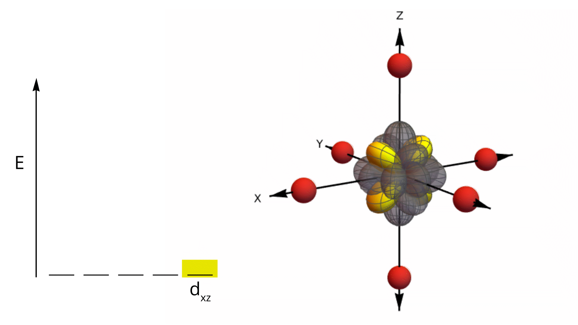 d xz orbital animation in an octahedral ligand field showing orbital shape and ligand positions