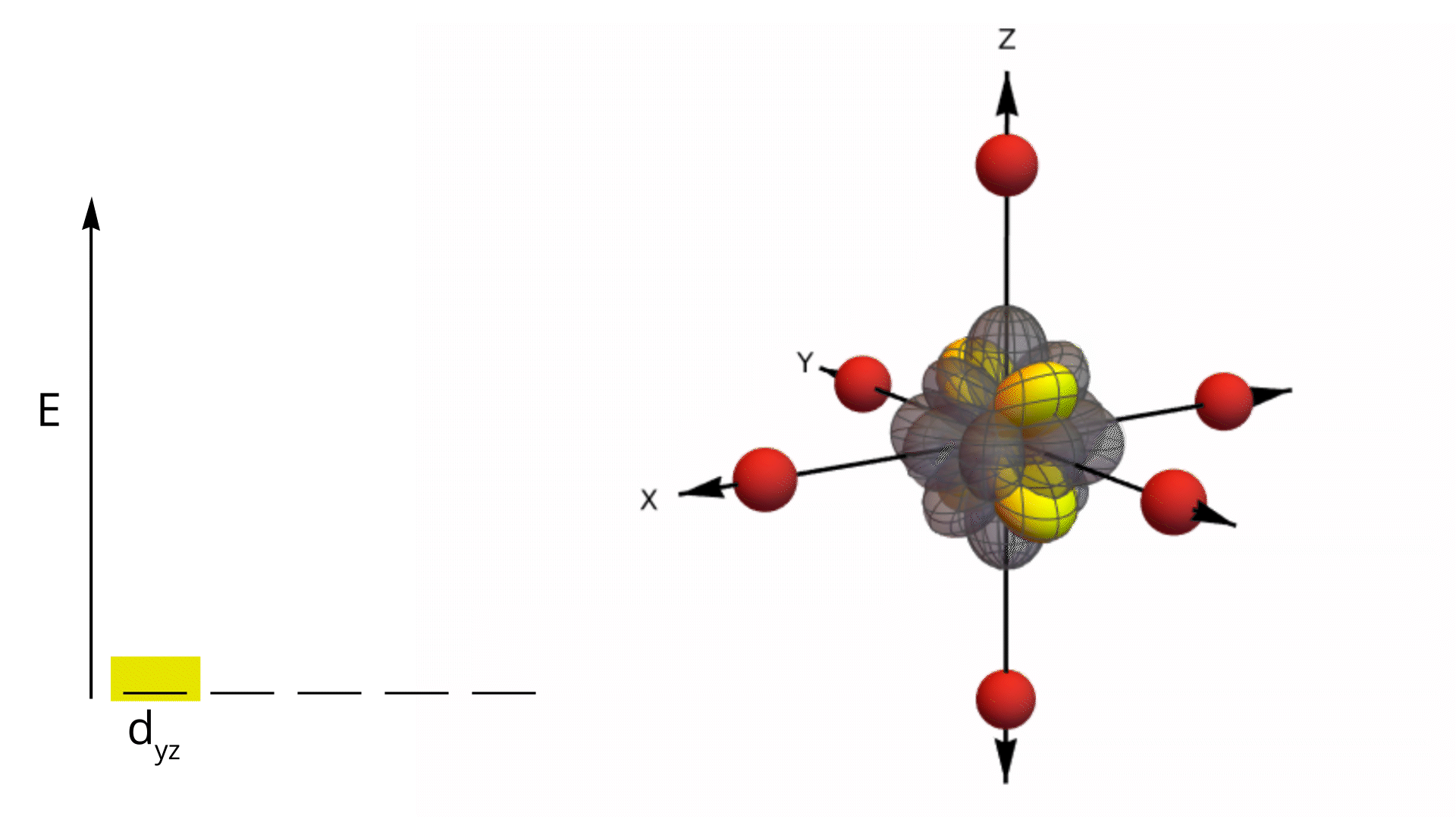 d yz orbital animation in an octahedral ligand field showing orbital shape and ligand positions